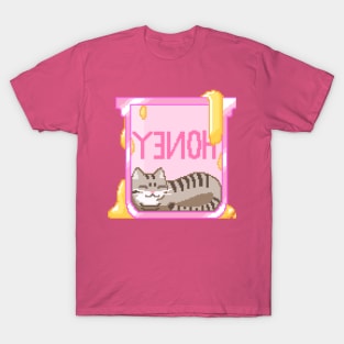 Oh Sky Honey T-Shirt